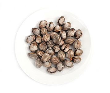 煮熟的血生产壳类白色食物沿海餐厅海洋贝类海鲜生活图片