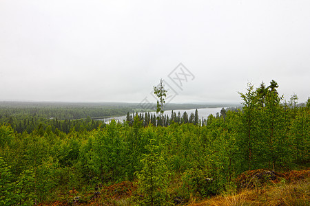 北部带湖泊的风貌云杉丘陵针叶树天空多云国家灰色针叶林地平线松树图片