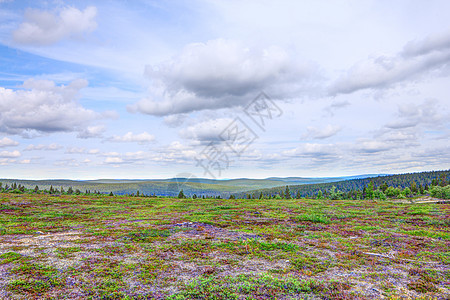 Tundra 景观苔原全景公园晴天国家风景地平线场景人行道石头图片