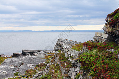 挪威北部地貌景观天空苔藓海滩风景顶峰地平线海洋旅行岩石石头图片
