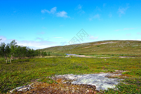 Tundra 景观树木国家爬坡石头场景风景全景天空晴天地平线图片