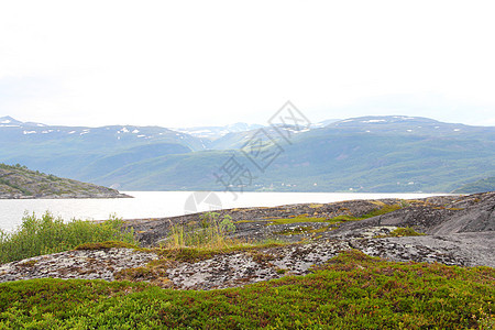 挪威风貌松树房屋顶峰峡湾假期游客天空蓝色海岸线山脉图片