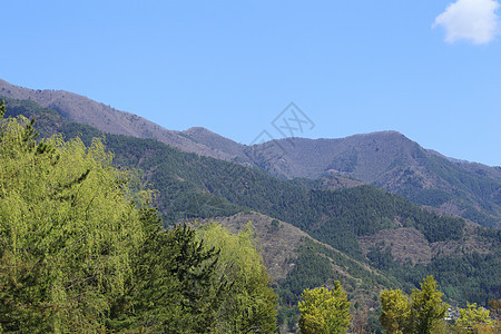 山岳和山林的景色爬坡旅行花园木头天空蓝色森林公园季节植物图片