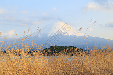 藤山 川口湖风景山梨镜子天空火山地标顶峰蓝色旅行反射公吨图片