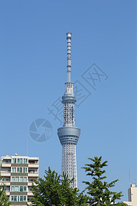 蓝天空的东京天树播送建筑学天空墨田电视广播地标晴空建筑建造图片