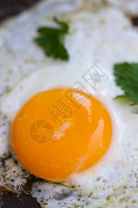 从母鸡的蛋中排出卵蛋黄早餐烹饪食物厨具煎锅叶子金属小吃油炸图片