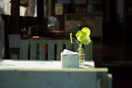 餐桌用餐组织装饰住宅长凳装饰品绿色早餐时间角落桌面图片