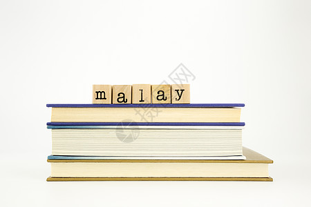 木印章和书籍上的马莱语文字图片