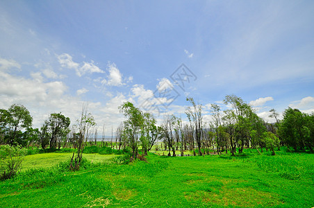 重建中国云南省达利的宋朝镇文化城市村庄建筑歌曲房子王朝风景旅行天空图片