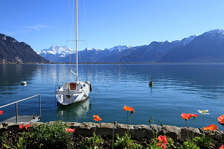 瑞士日内瓦日内瓦湖景区全景风景天空航行蓝色图片
