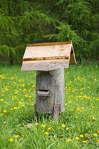 老蜂巢生态蜂蜜农场蜂箱农村乡村蜜蜂木头蜂窝殖民地图片