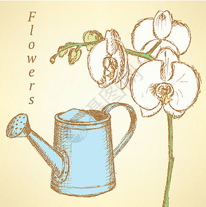 牵引兰花和水中罐 矢量背景农业绘画插图灌溉喷口植物雕刻花园涂鸦植物群图片