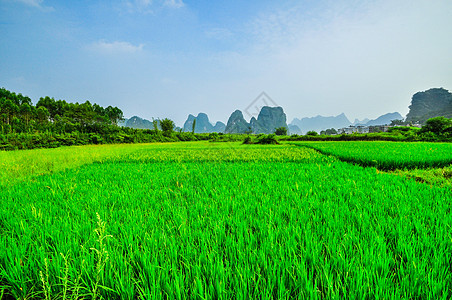 李里河山蓝天风景 阳月桂林荒野旅游竹子编队农村丘陵假期漂浮岩石反射图片