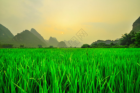 中国的阳久桂林地貌山脉反射丘陵岩溶村庄水路假期农村风景岩石图片