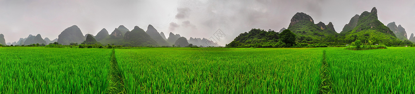 稻田 喀斯特山地景观 吉林图片