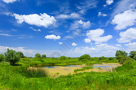 夏季风景太阳春景草原季节野花蓝色场景场地美化晴天图片