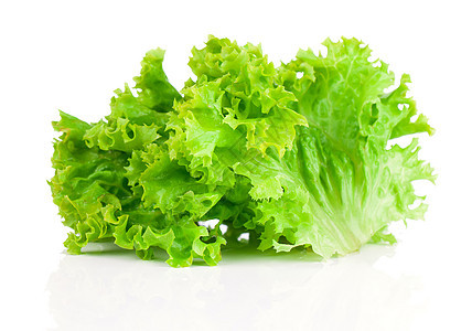 生菜 沙拉叶 白底孤立食物杂货店植物叶子活力草本植物蔬菜绿色白色美食图片