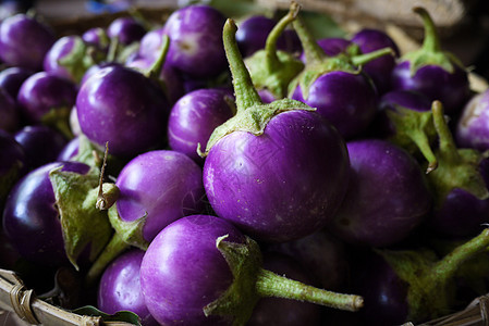 紫色圆茄子背景图片