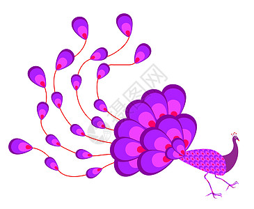 美丽的孔雀动画片动物园创造力装饰品尾巴插图艺术热带翅膀紫色图片