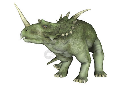 恐龙电极词库动物插图博物馆荒野侏罗纪危险白色灭绝爬虫怪物图片