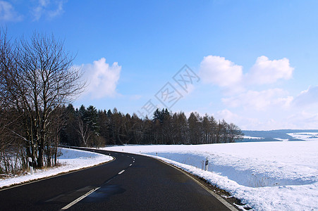 冬季乡村公路道路树木曲线风景季节景观图片