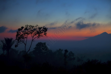 巴厘岛上空的日落木头叶子辉光薄雾流动橙子异国热带天堂荒野图片