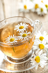 甘菊茶雏菊饮料液体茶壶花草洋甘菊桌子药品杯子兴奋剂图片