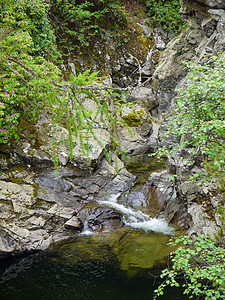 山林深处的河流石头植物公园荒野风景苔藓木头墙纸天堂叶子图片