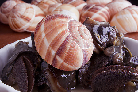 氯化咖啡饼健康棕色树干午餐田螺大蒜饮食烹饪蜗牛食物图片