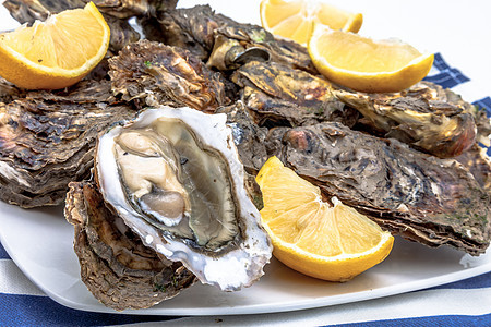 牡蛎贝壳午餐奢华营养海洋贝类柠檬食物壳类海鲜图片