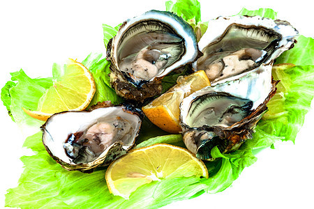 牡蛎柠檬盘子营养贝类海洋食物壳类海鲜午餐贝壳背景图片