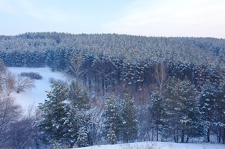 山上森林的冬季风景景观墙纸天空果园降雪木头松树全景小路场景白色图片