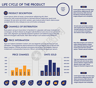 可编辑模板-营销产品的生命周期 带有图表 图表和图标图片