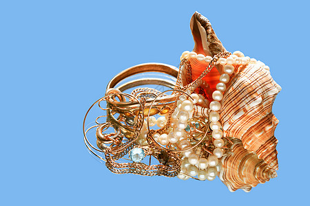壳和宝藏贝壳工艺配饰对象珍珠女性耳环宝石饰品多样性图片