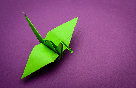 折纸起重机翅膀创造力希望艺术白色爱好起重机红色紫色手工图片