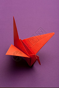 折纸起重机希望折纸玩具紫色游戏起重机爱好手工白色艺术图片
