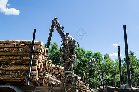 人用起重机把树木砍伐成拖车伐木工木头牵引运输货物日志林业加载装载机卡车图片