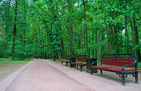 在夏季公园中沿着一条步行道的几张长椅座位小路绿色人行道季节森林途径花园木头多叶图片