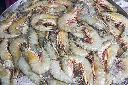 生虾市场销售摊位盘子贝类对虾海鲜图片