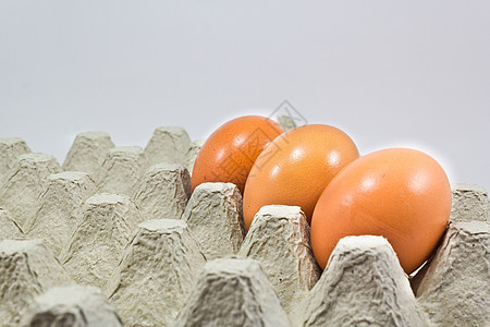 免费新鲜有机鸡蛋托盘奶制品饮食食物营养粮食家禽纸盒生产市场斑点图片