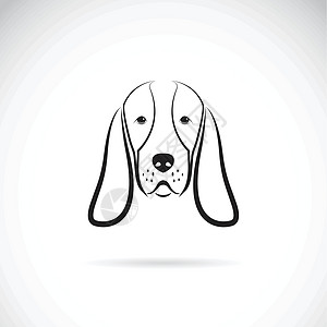 贝塞猎犬头的矢量图像绘画卡通片犬类艺术宠物夹子插图猎犬哺乳动物动物图片