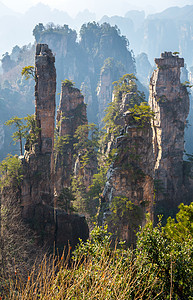 张贾吉国家森林公园风景森林公园化身悬崖国家遗产石头岩石世界图片