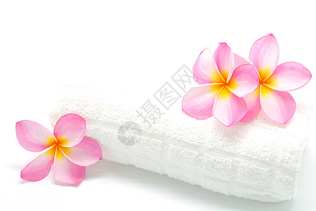 粉色带毛巾的柏油情调白色香味异国温泉花朵热带花瓣背景图片