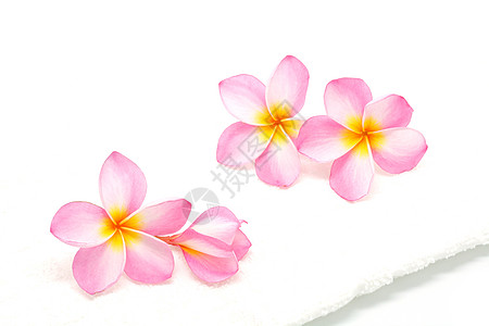 粉色带毛巾的柏油白色温泉情调花瓣花朵异国香味热带背景图片
