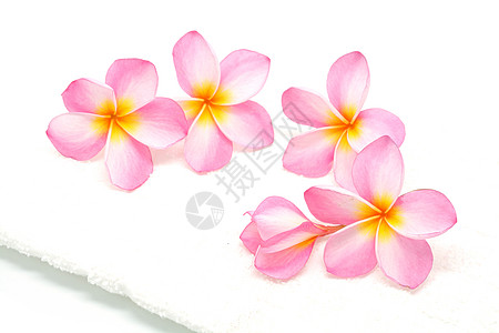 粉色带毛巾的柏油白色花瓣情调异国温泉香味热带花朵背景图片