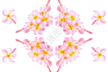 粉红色花瓣花朵异国热带白色粉色情调香味温泉背景图片