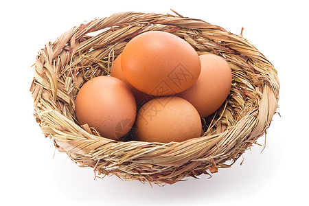 煮鸡蛋小吃早餐白色摄影食物农业工作室棕色椭圆动物背景图片