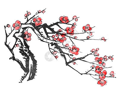 中文绘画传统刷子艺术书法脚本创造力李子植物植物群手工图片