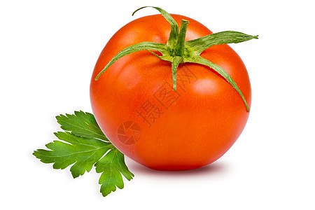 单西番茄图片