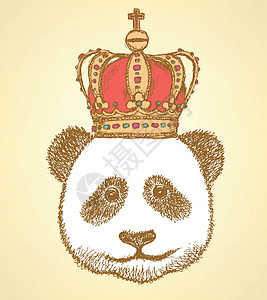 皇冠 古老背景的草皮熊猫意外收藏卡通片纹章奢华草图国王皇家艺术野生动物图片